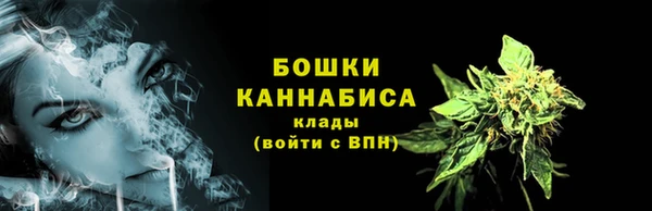 ГАЛЛЮЦИНОГЕННЫЕ ГРИБЫ Болхов
