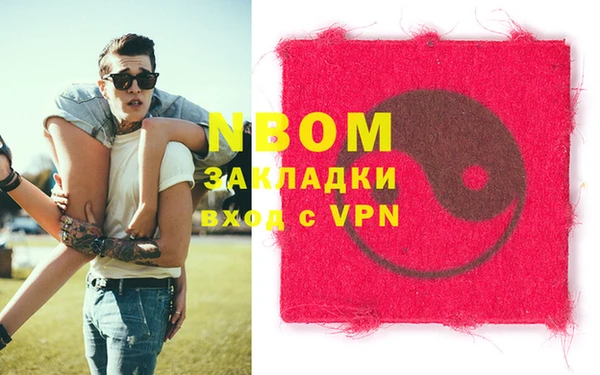 индика Гусиноозёрск