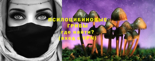 ГАЛЛЮЦИНОГЕННЫЕ ГРИБЫ Болхов