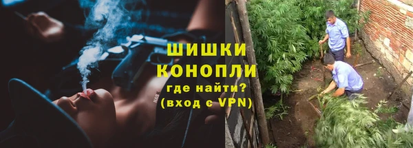 индика Гусиноозёрск